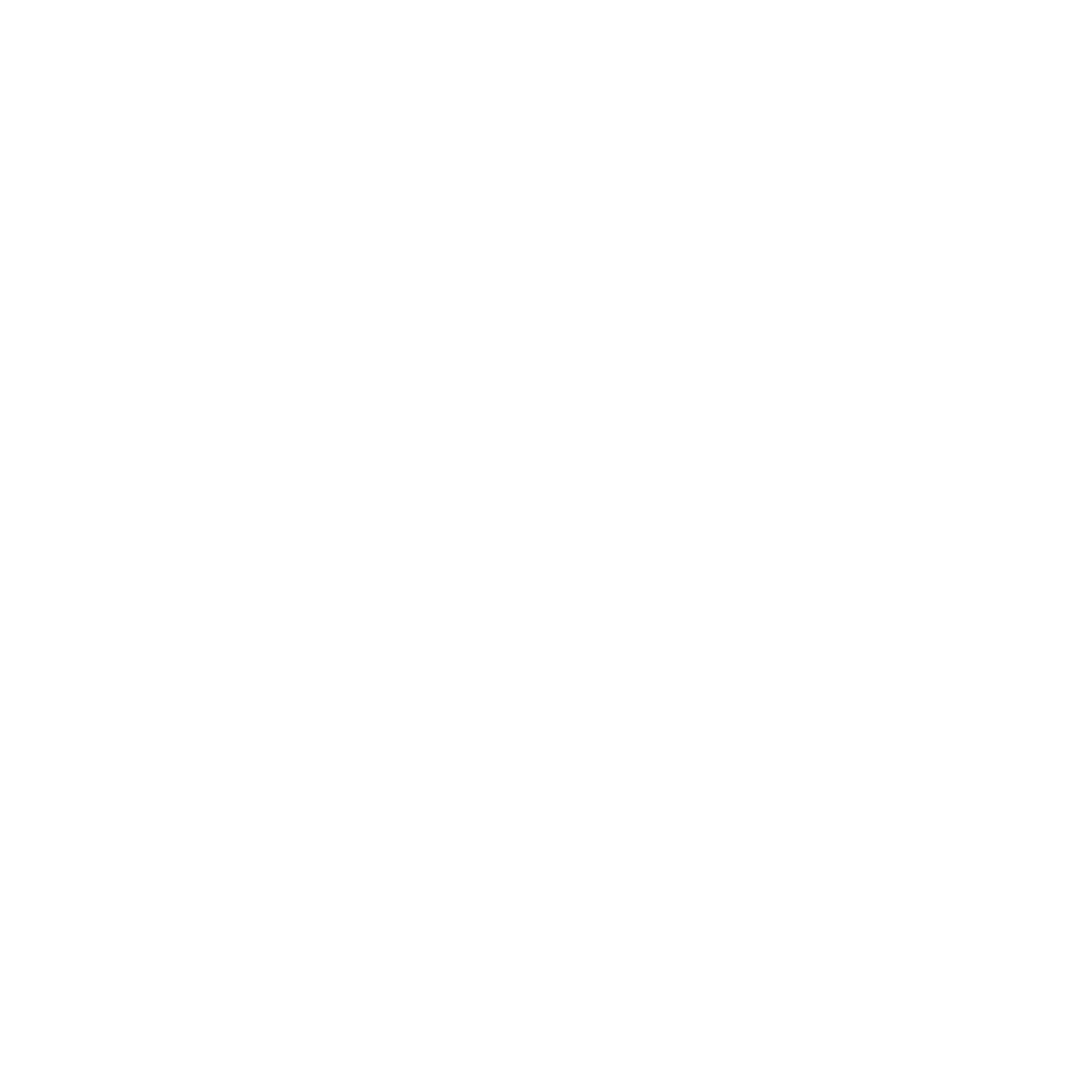 Rain Roofing Pros