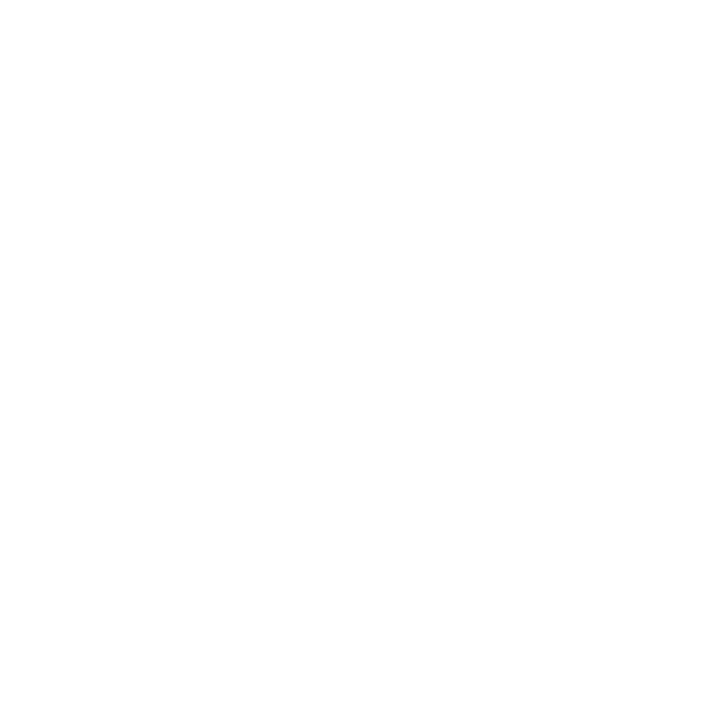 Rain Roofing
